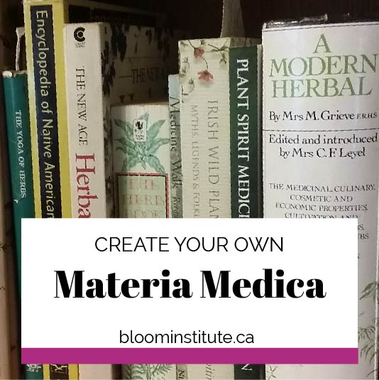 How to Create Your Own Herbal Materia Medica Bloom Institute