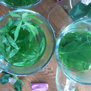 sweet woordruff and apple mint herbal iced tea