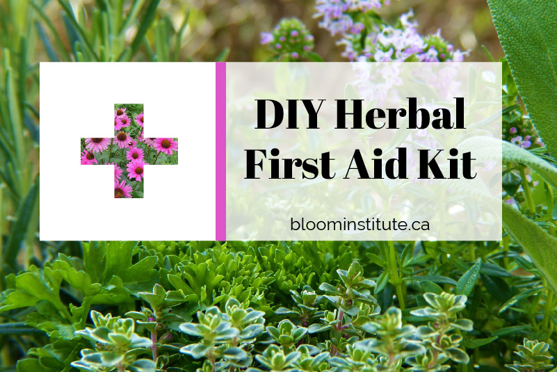 Make Your Own Herbal First Aid Kit Bloom Institute