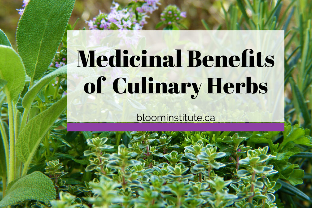 medicinal culinary herbs cover