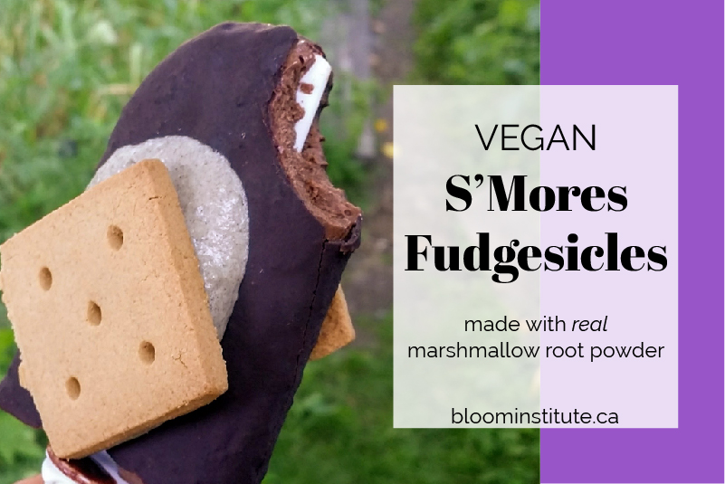 Vegan S'Mores fudgesicles cover