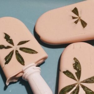 Rose Tahini Herbal Popsicles before dipping | bloominstitute.ca